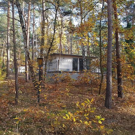 Hausmeise Heidesee Zewnętrze zdjęcie